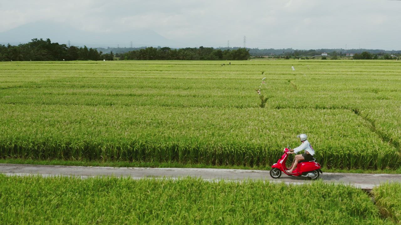 A man riding a red scooter along a road through green fields